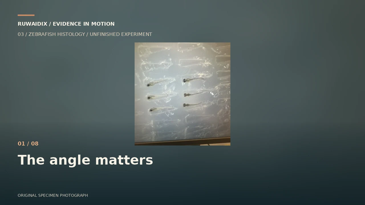 Film poster for Two Materials. No Section.