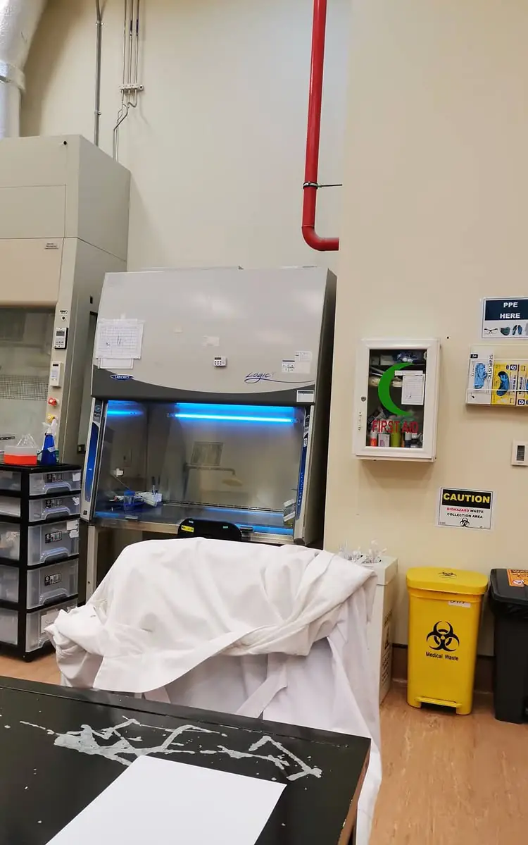 Biological safety cabinet and laboratory equipment