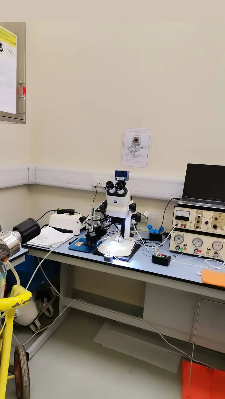 Stereomicroscope and positioning apparatus on a laboratory bench